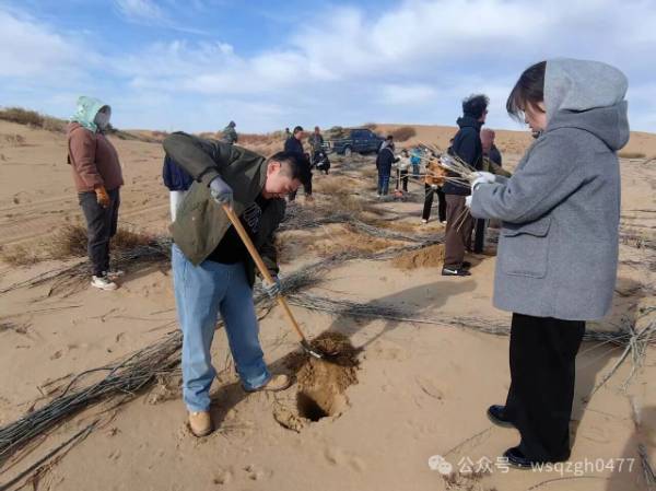 1763100849361411.jpg 1.jpg