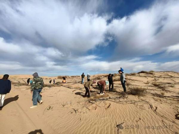 1763100859879299.jpg 3.jpg