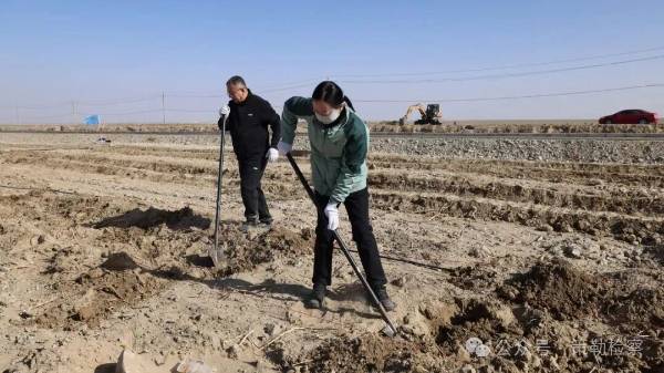 1763101145292037.jpg 5.jpg