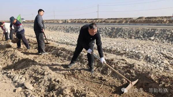 1763101155342857.jpg 6.jpg