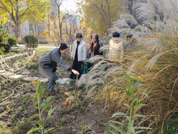 1763101647561975.jpg 14.jpg