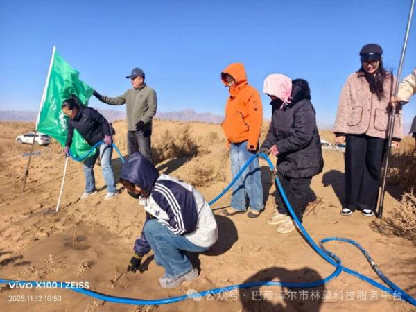 1763101834868070.jpg 19.jpg