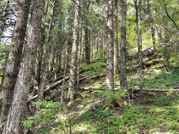 1763343974546503.jpg 1 (1).jpg