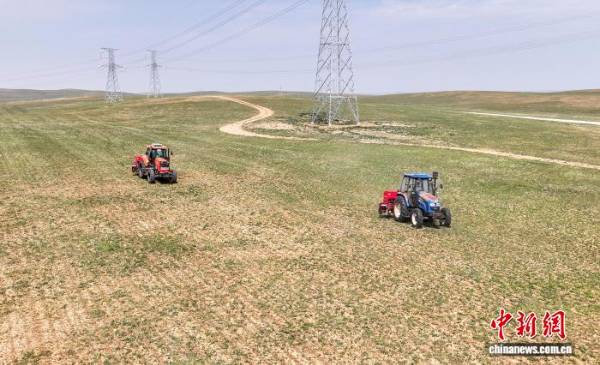 1763344163893377.jpg 3 (1).jpg