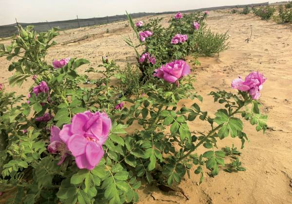 1763530130198888.png 8.png