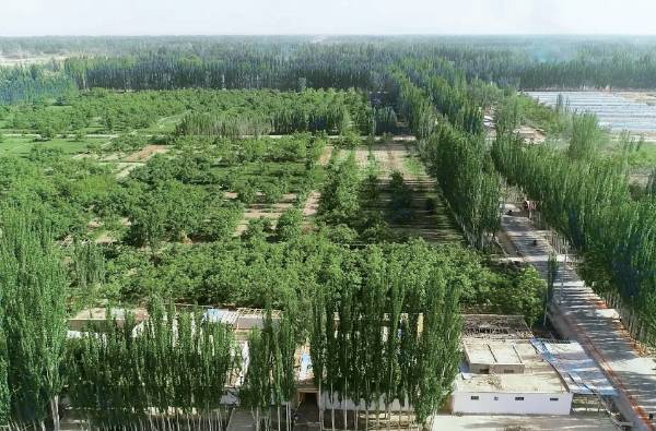 1763530168749289.png 10.png