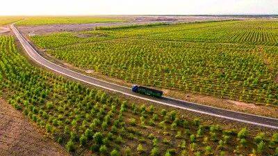 1763606827888795.jpg 1763606827888795.jpg