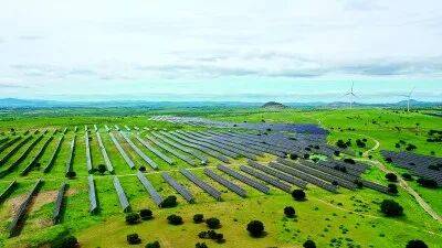 1763606902899797.jpg 1763606902899797.jpg