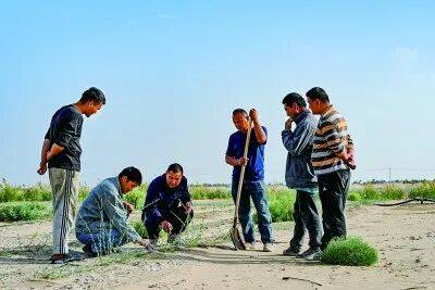 1763606924633775.jpg 1763606924633775.jpg