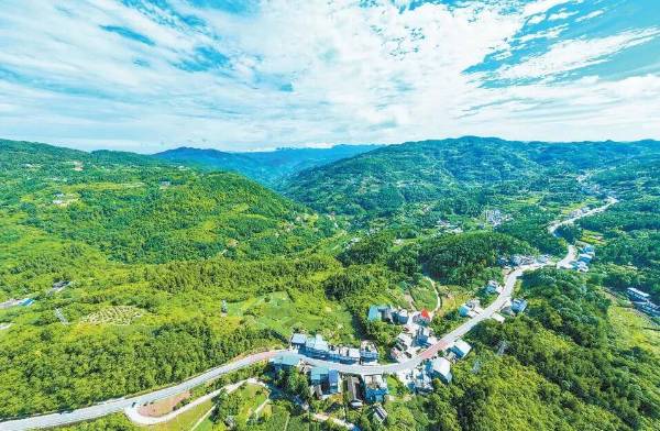 1763608613452849.jpg 1 (2).jpg