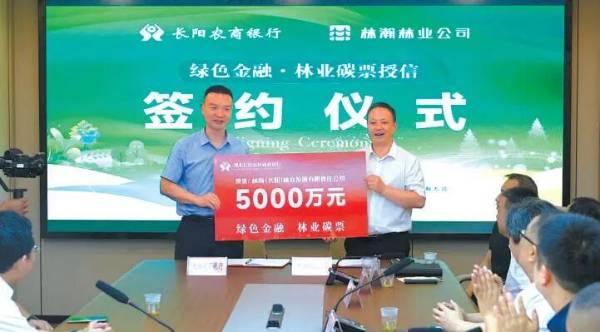 1763608697312427.jpg 4 (1).jpg