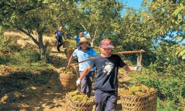 1763608722144260.jpg 5 (1).jpg