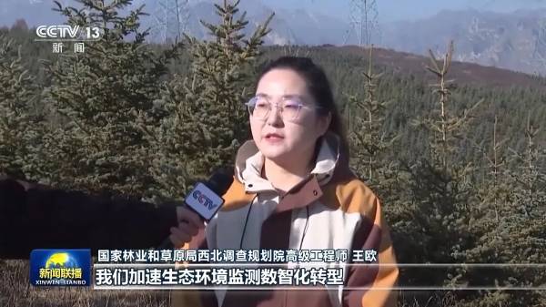 1764040206255546.jpg 1 (1).jpg