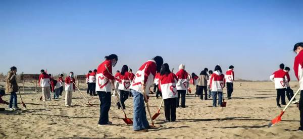 1764051737416062.jpg 1 (1).jpg