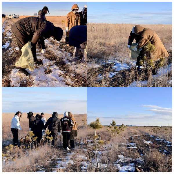 1764310845775610.png 12.png