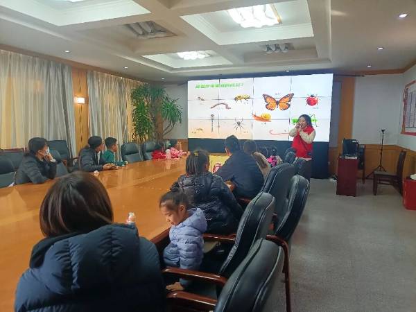 1764311627786964.jpg 2.jpg