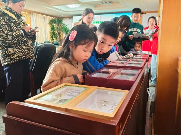 1764311631690491.jpg 3.jpg