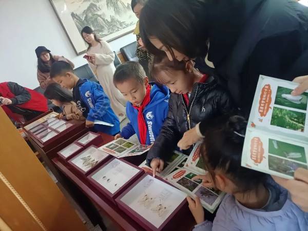 1764311634590470.jpg 4.jpg