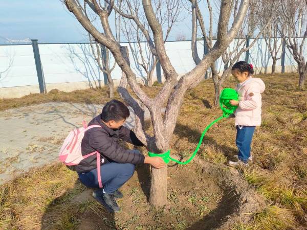 1764312282446890.jpg 222 (1).jpg