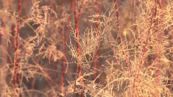 1764573259589253.jpg 4.jpg