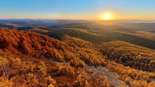 1765160957367757.jpg 5.jpg