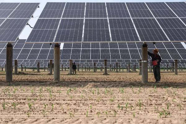 1765160976187873.jpg 6.jpg