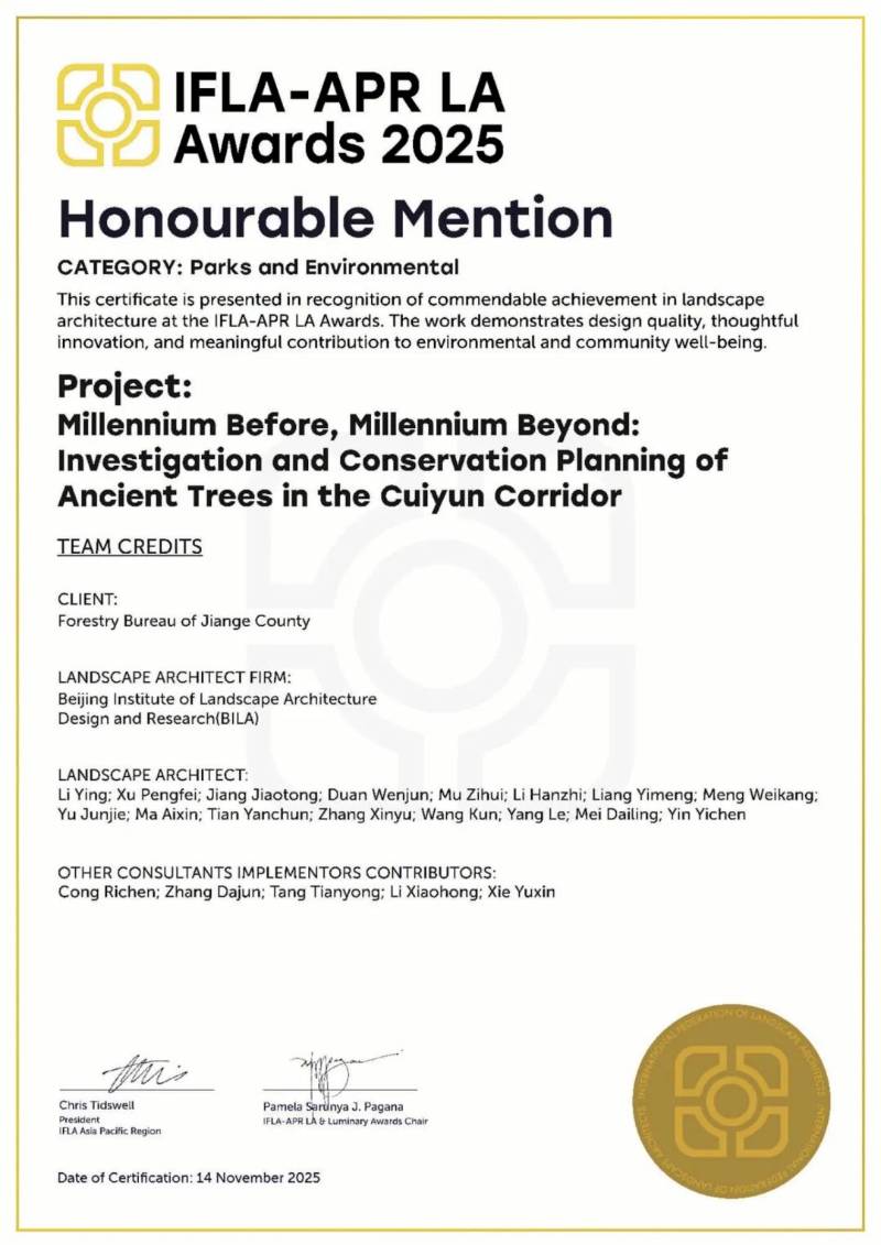 1765855300589098.jpg 17.jpg