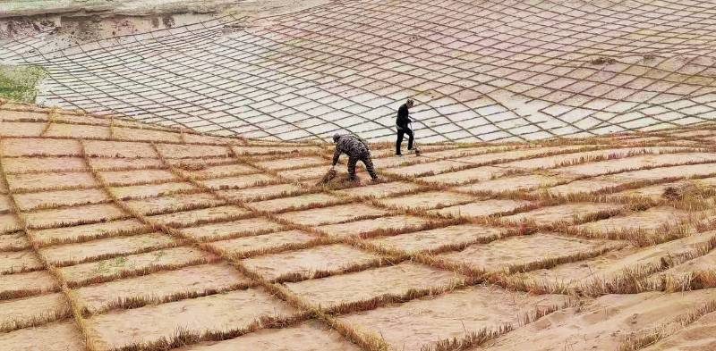 1766542153581868.jpg 6.jpg