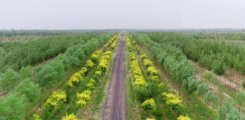 1766542175820918.jpg 7.jpg