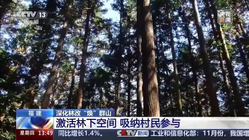 1766728209804806.jpg 1.jpg