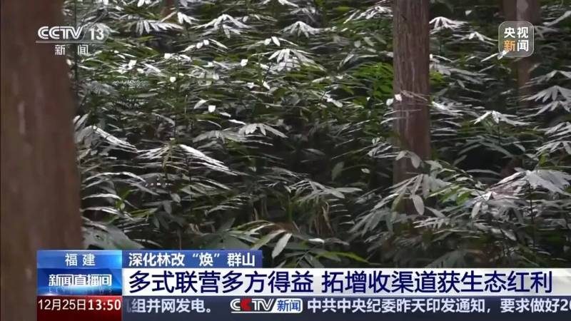 1766728216774674.jpg 2.jpg