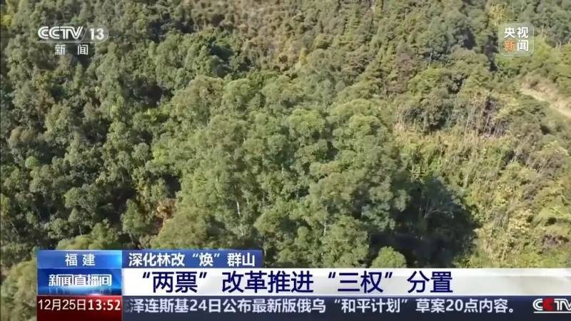 1766728229629511.jpg 3.jpg