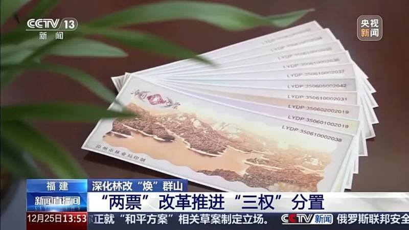 1766728236953837.jpg 4.jpg