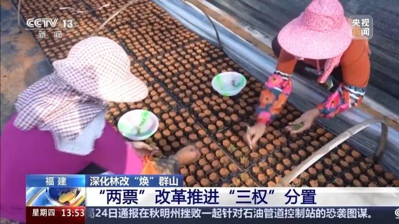 1766728243198825.jpg 5.jpg