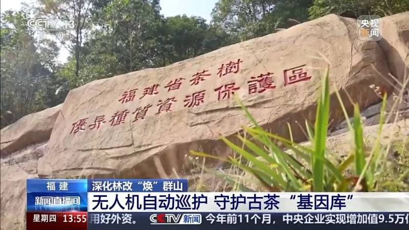 1766728254111461.jpg 6.jpg