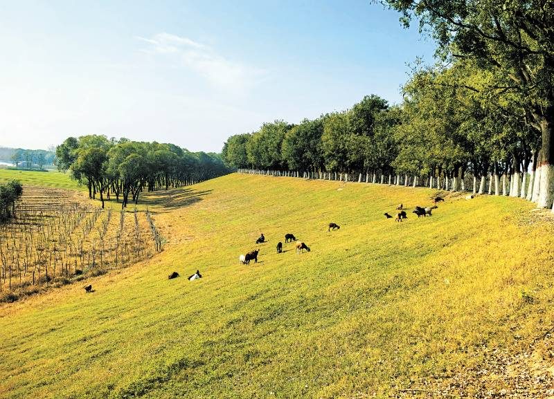 1767855625765811.jpg 1 (1).jpg