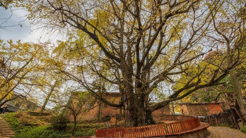 1767946465809597.jpg 1.jpg