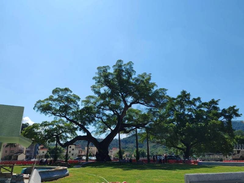 1767946517625478.jpg 5.jpg