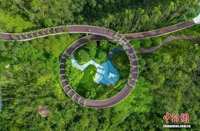 1767947323173782.jpg 4 (1).jpg