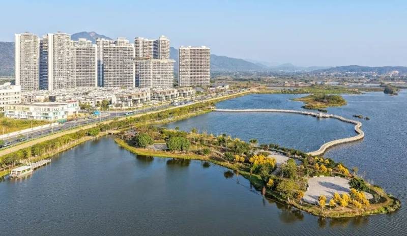 1767947580562450.jpg 7 (1).jpg