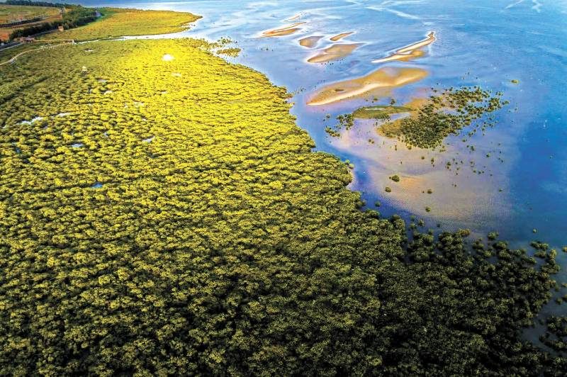 1768185846697496.jpg 8.jpg