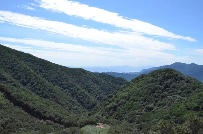 1768374776454071.jpg 1768374776454071.jpg