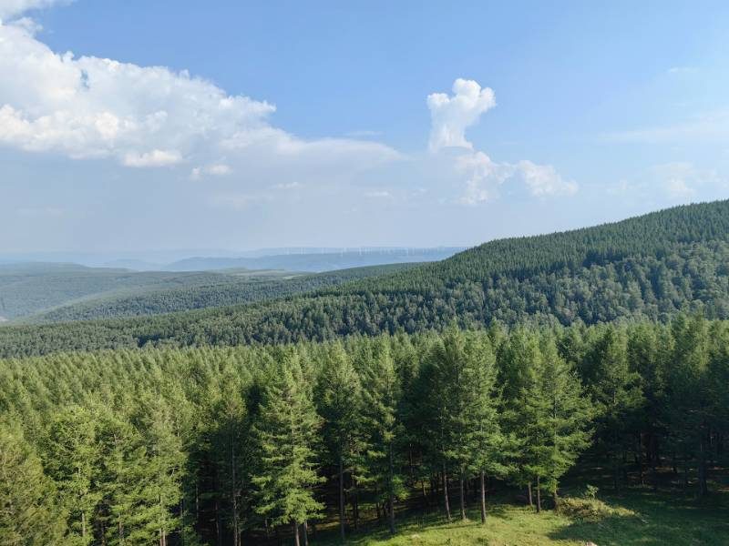 1768374794568694.jpg 1768374794568694.jpg