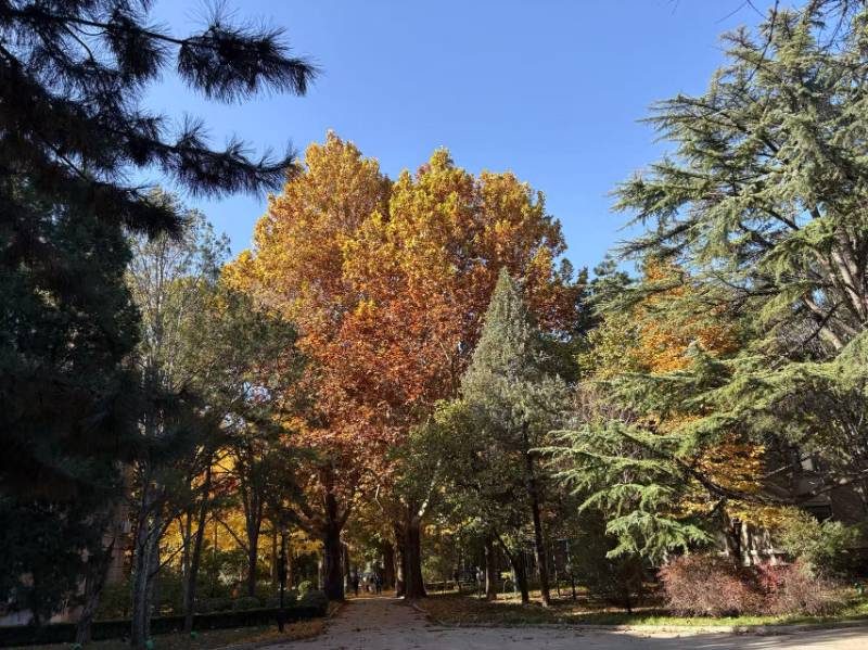 1768374818345591.jpg 1768374818345591.jpg