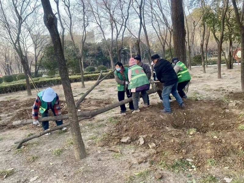 1768375560427481.jpg 3.jpg