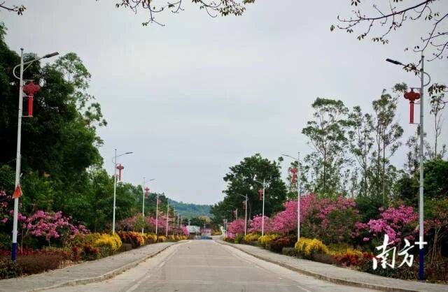 1768375668770949.jpg 7.jpg