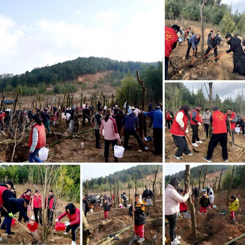 1768375854537188.jpg 9.jpg