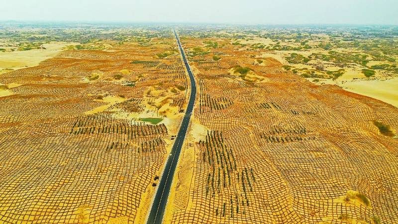 1768466710787570.jpg 9.jpg