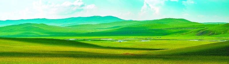 1768466719570007.jpg 10.jpg