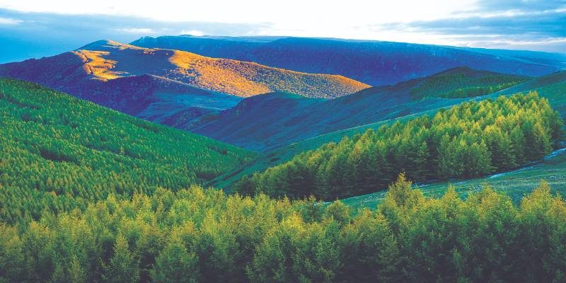 1768466748507843.jpg 11.jpg